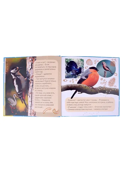 К нам опять пришла зима! Снежинкин секрет. Кто как зимует? Секрет Крошки Мороза (комплект из трёх книг) - фото 4