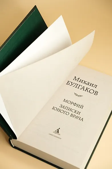 Морфий. Записки юного врача - фото 10