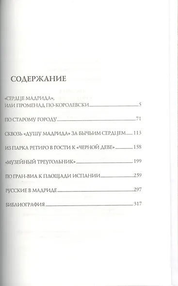 Мадрид. Город солнца - фото 2