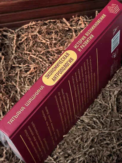 Экономическая антропология: История возникновения и развития - фото 8