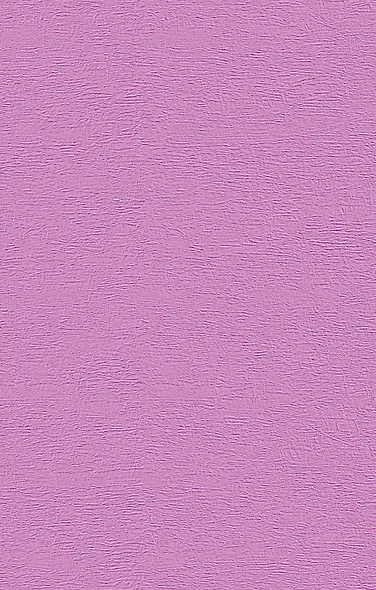 Фарфоровые затеи: повести, рассказы - фото 2