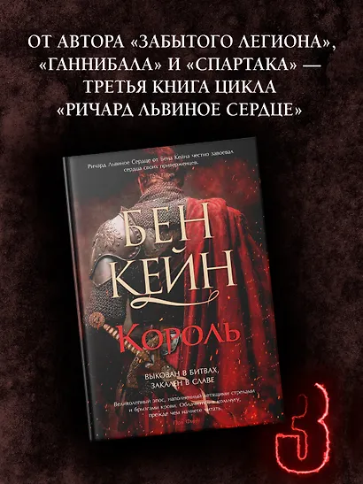 Ричард Львиное Сердце. Книга 3. Король - фото 4