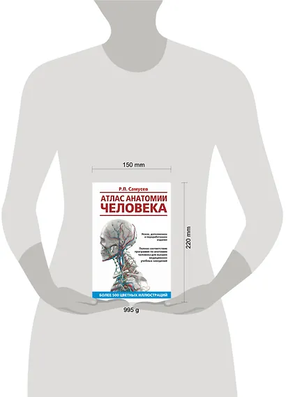 Атлас анатомии человека. Учебное пособие для студентов высших медицинских учебных заведений - фото 3