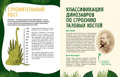Царство динозавров. Энциклопедия для детей - фото 7