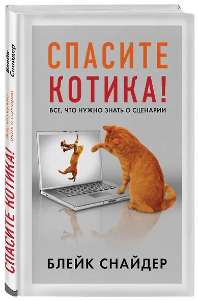 Спасите котика! Все, что нужно знать о сценарии - фото 3