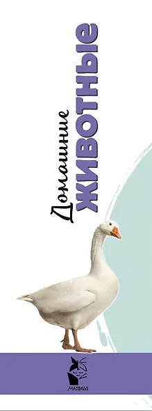 Домашние животные - фото 4