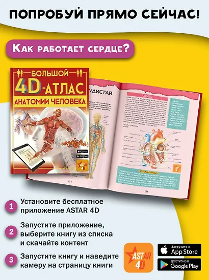 Большой 4D-атлас анатомии человека - фото 10