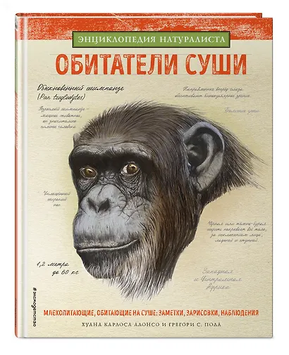 Обитатели суши - фото 3