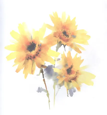 Цветы. Творческая раскраска - фото 6