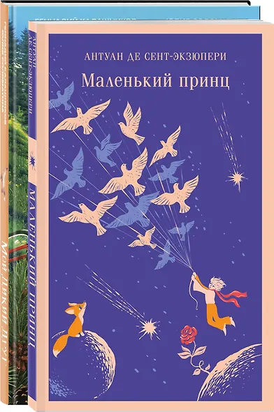 Набор Маленького принца (набор из 2 книг: "Мой дикий друг (официальная новеллизация)", "Маленький принц") - фото 3