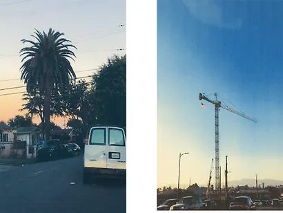 Вайолет, склонившаяся над травою - фото 5