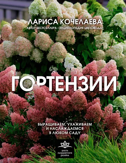 Гортензии. Выращиваем, ухаживаем и наслаждаемся в любом саду - фото 1