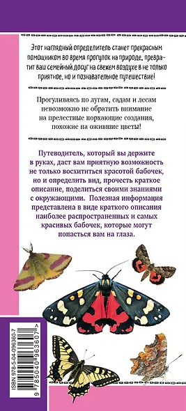 Бабочки. Наглядный карманный определитель (для ПР) - фото 2