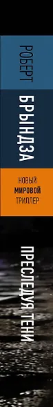 Преследуя тени - фото 8