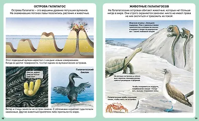 Тайны моря - фото 6