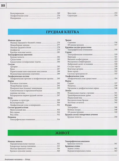 Анатомия человека: атлас - фото 9