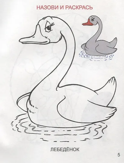 Детеныши зверей - фото 3