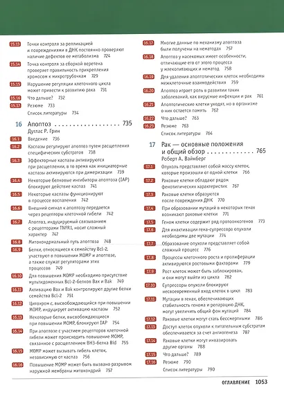 Клетки по Льюину - фото 3