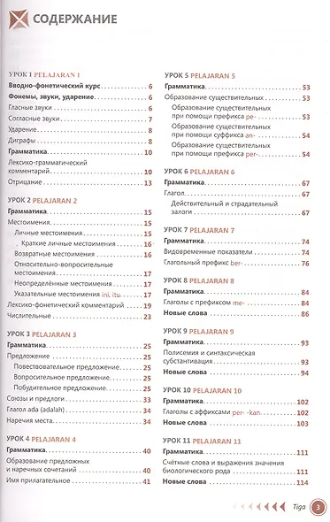 Малазийский язык. Самоучитель. Ростовцева Е.А. - фото 2