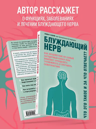 Блуждающий нерв. Что это такое и за что отвечает? - фото 5