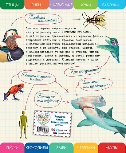 Все насекомые, птицы, рыбы с крупными буквами - фото 2