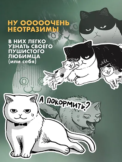 Маруру и Хати. Том 1 - фото 7