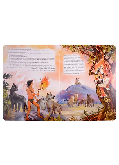 книги на картоне МАКСИ 235х315 7 разворотов. Маугли - фото 4