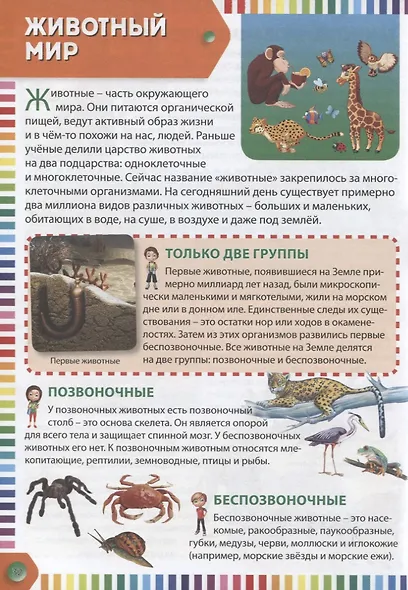 Первая энциклопедия для тех, кто уже читает - фото 5