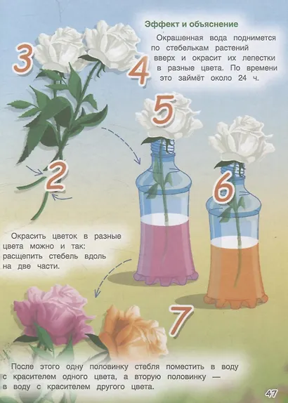 Весёлые научные опыты для детей. 20 увлекательных экспериментов - фото 7