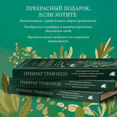 Гримуар травницы. Иллюстрированный справочник по сбору, заготовкам и полезным свойствам дикорастущих растений - фото 7