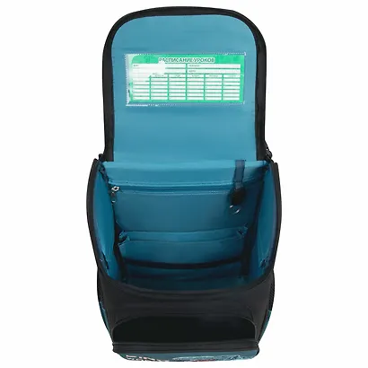 Ранец BASIC "Dino world" 1 отд., 35*28*18см. 3 кармана, эргоном. спинка - фото 2