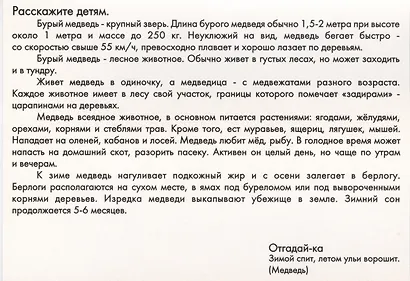 Животные наших лесов. Дидактические карточки для ознакомления с окружающим миром - фото 5