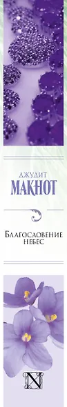 Благословение небес - фото 4