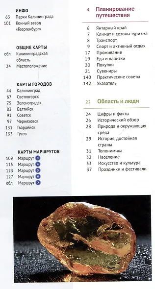 Калининградская область. Путеводитель - фото 2