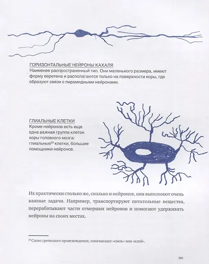 Что там внутри? Путеводитель по нашему мозгу - фото 5