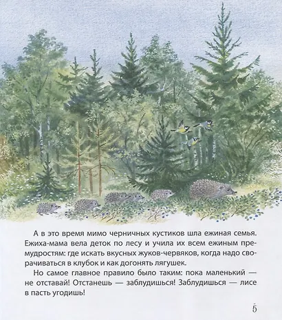 Самый маленький ежик - фото 2