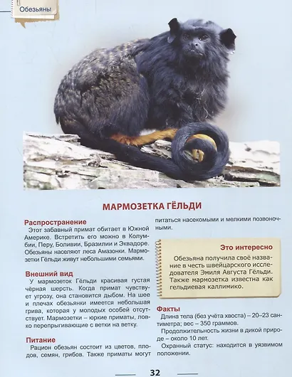 ЭНЦИКЛОПЕДИЯ ДЛЯ ДЕТЕЙ. ОБЕЗЬЯНЫ - фото 5