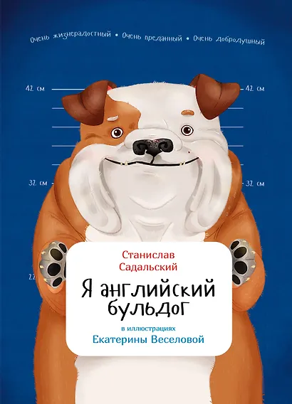 Я английский бульдог - фото 1