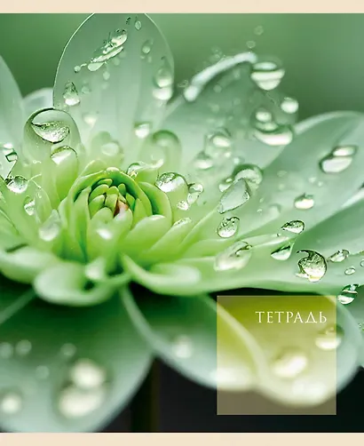 Тетрадь в клетку Listoff, "Чарующая природа", 48 листов, в ассортименте - фото 4