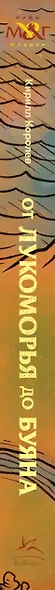 От Лукоморья до Буяна. Атлас русской фольклорной географии - фото 14
