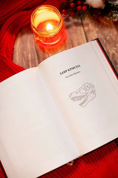 Однажды темной зимней ночью... - фото 10