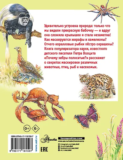 Почему зебры полосатые? - фото 2