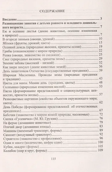 Развивающие занятия с детьми 2-4 лет - фото 2