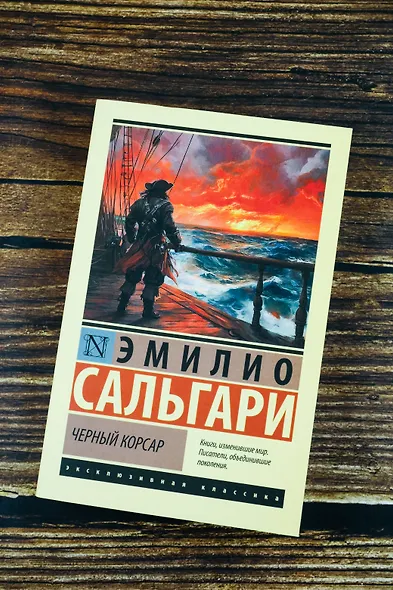 Черный корсар - фото 5