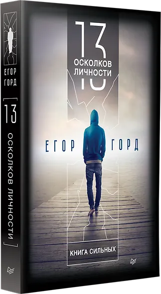 13 осколков личности. Книга сильных - фото 2
