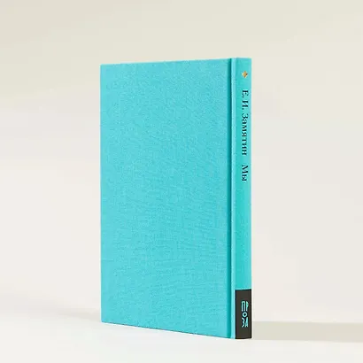 Мы. Роман - фото 13