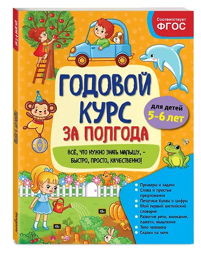 Годовой курс за полгода: для детей 5-6 лет - фото 3