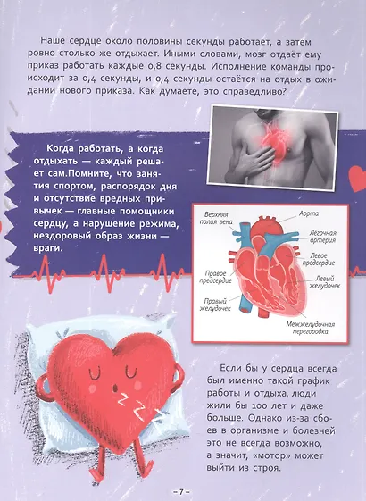 ЭНЦИКЛОПЕДИЯ. КАК? ЧТО? ПОЧЕМУ? ТЕЛО ЧЕЛОВЕКА - фото 4