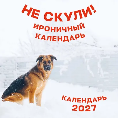 Не скули. Ироничный календарь настенный на 2027 год (300х300 мм) - фото 1