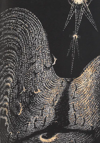 Новый завет: Соборные послания - фото 3